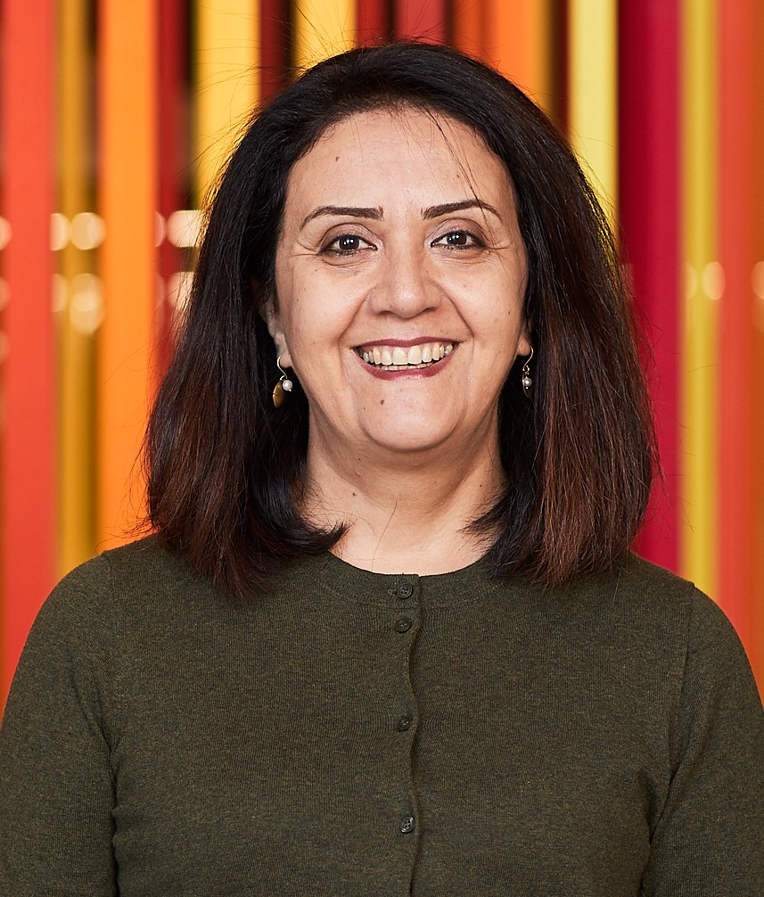 Simin Masoudi